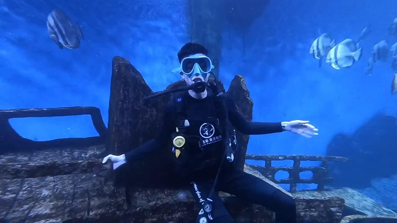 救援小肥兔